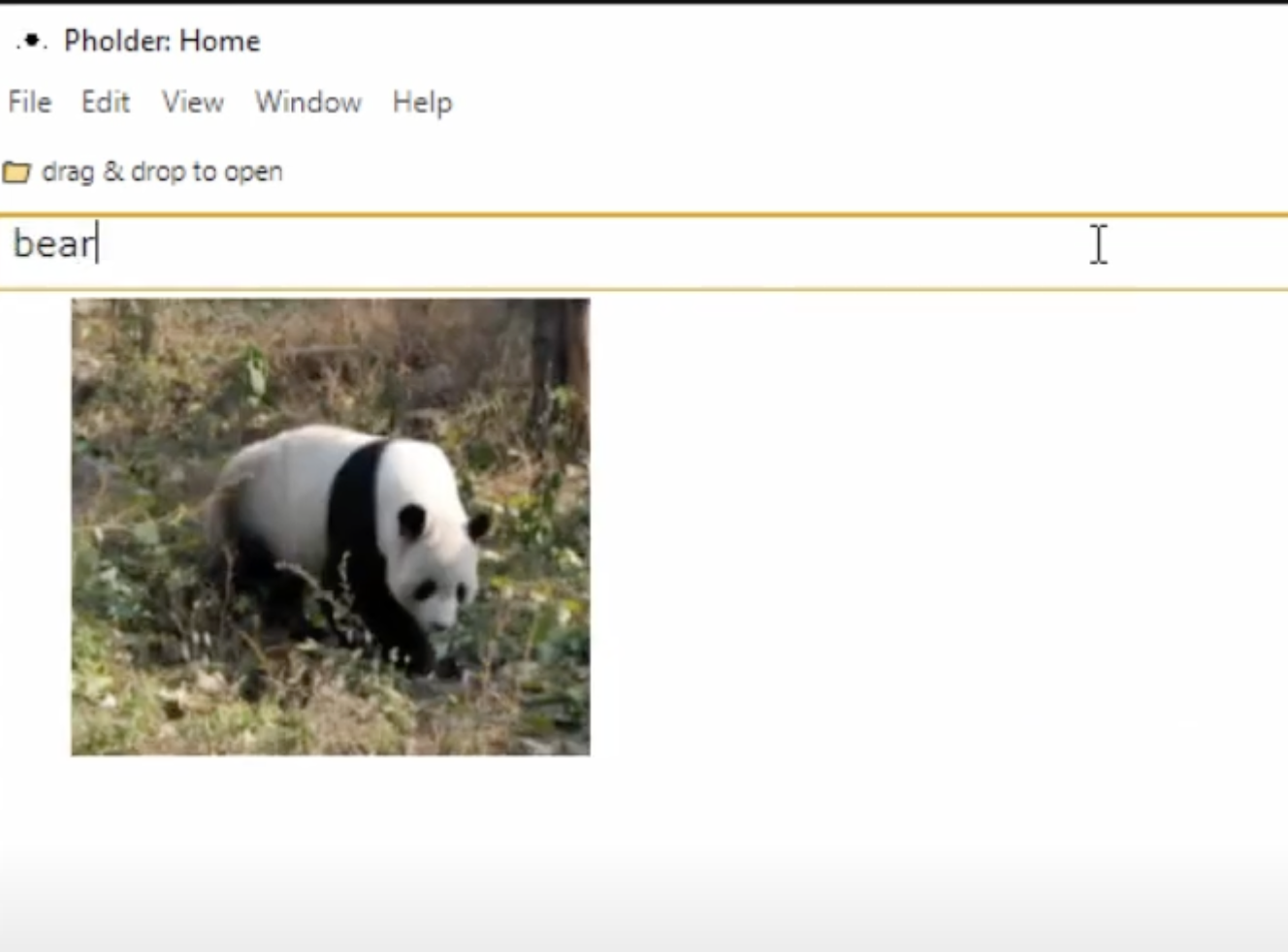 A screenshot of Pholder! in use.