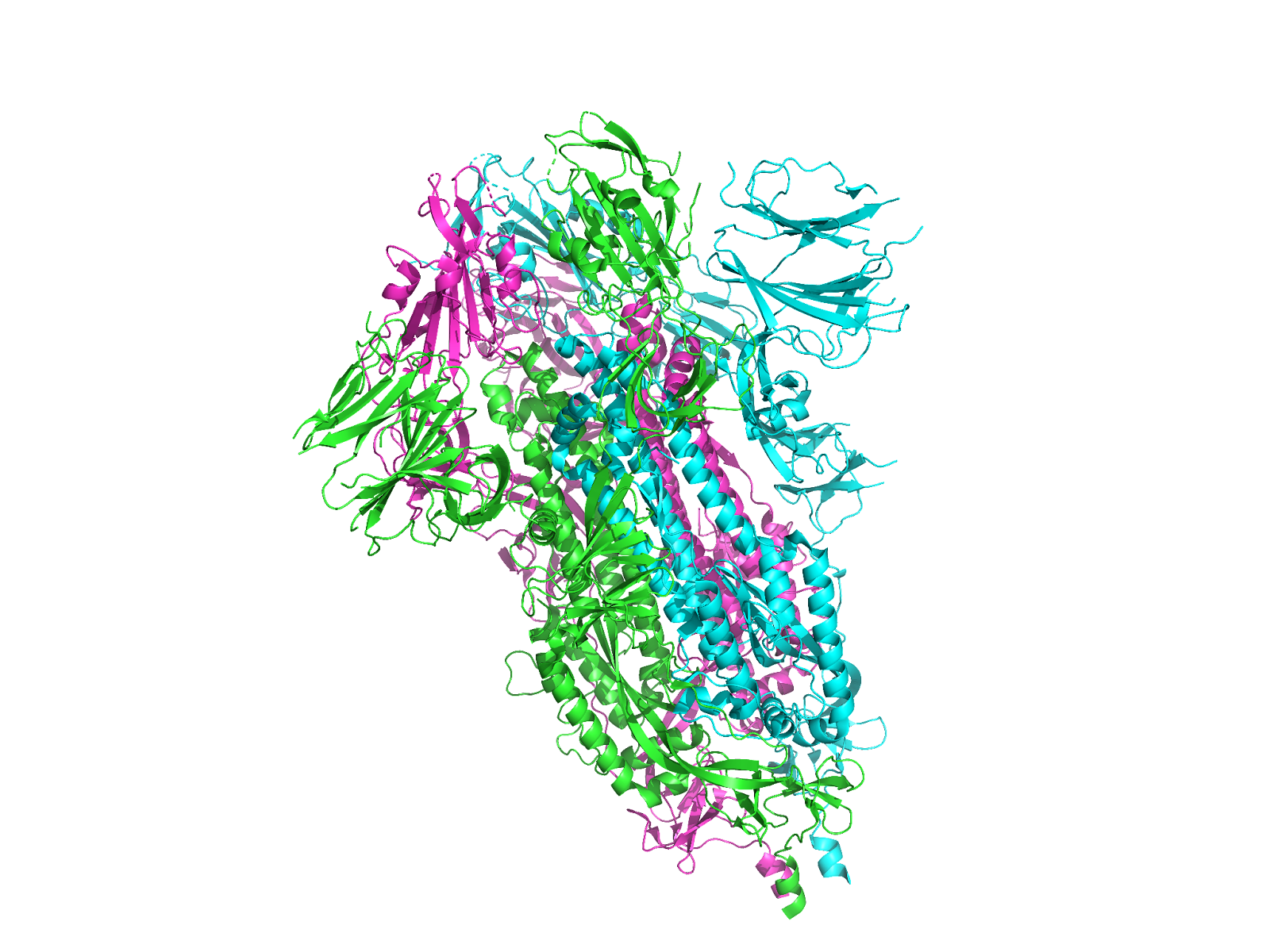 An image of a protein structure prediction
